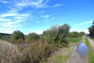 Solar en venta en Muro