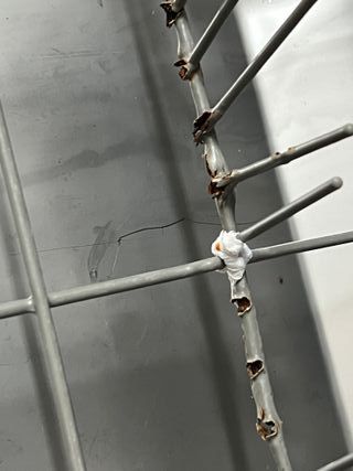 Lavavajillas Teka LP7 811 averiado