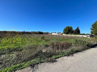 Terreno en venta en Sur en Jerez de la Frontera
