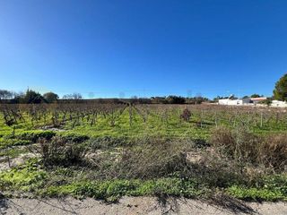 Terreno en venta en Sur en Jerez de la Frontera