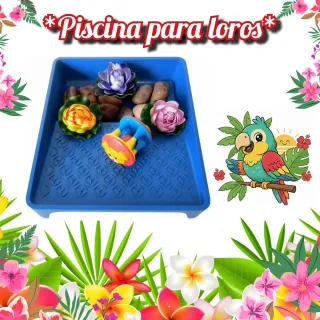 Juguetes+Piscina para agapornis/loros/periquitos