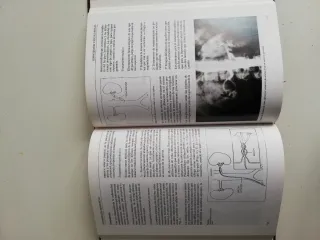 Arteriopatias periféricas