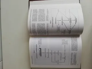Arteriopatias periféricas