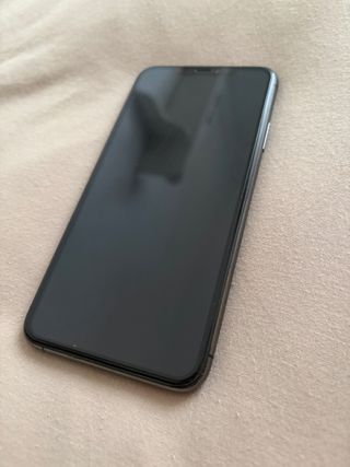 iPhone 11 Pro Max 256 GB Grigio Siderale