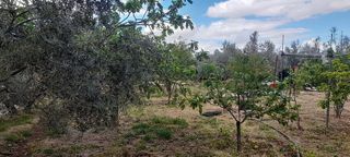 Casa rural en venta en Baza