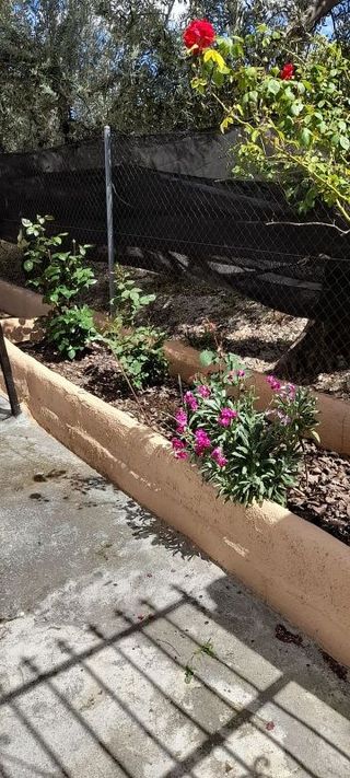 Casa rural en venta en Baza