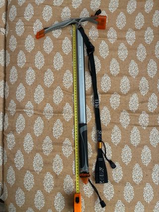 Piolet Black Diamond Raven Ice 60cm