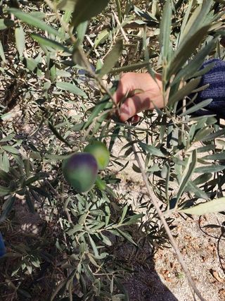 Casa rural en venta en San Pablo - Santa Teresa en Albacete