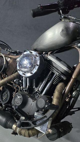 Harley Davidson Sportster 883 Custom