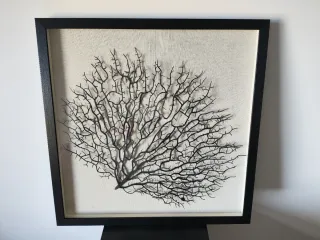 Cuadro Decorativo Silueta Árbol