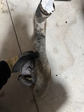 Despiece Peugeot 406 HDI 2004