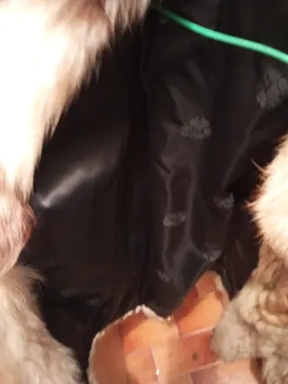 Abrigo piel de zorro canadiense tonos beige .