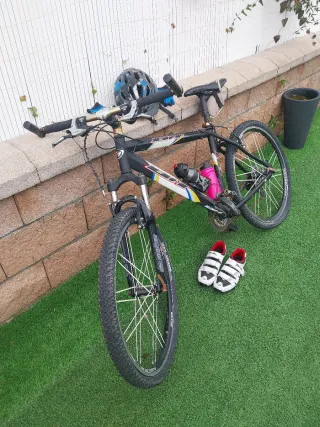 Bicicleta Montaña BH Team Profesional MTB