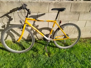 Bicicleta Montaña HOMESTAR