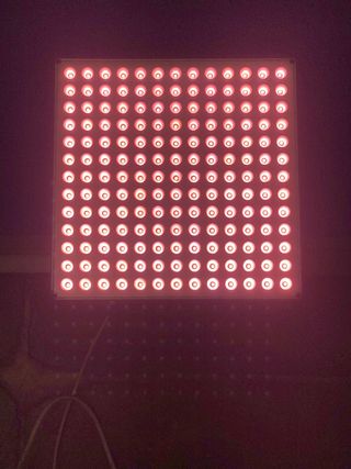 Lote cultivo interior