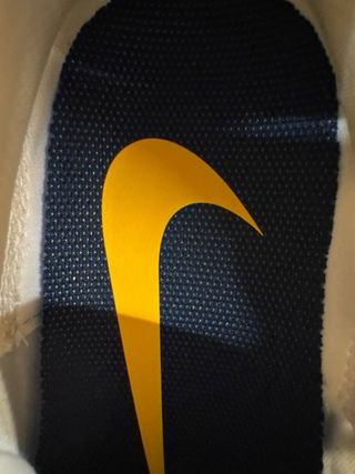 Nike Pegasus Trail 5 GTX Taglia 42 Nuove