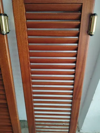 Puertas estilo Saloon