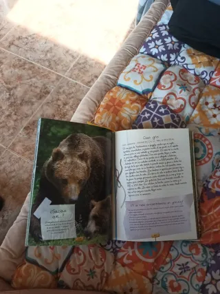 Los porqués de los animales