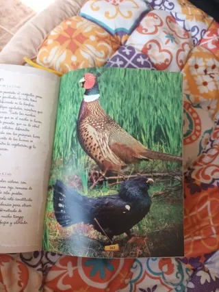 Los porqués de los animales