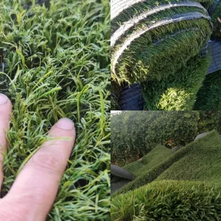 Césped artificial variedad