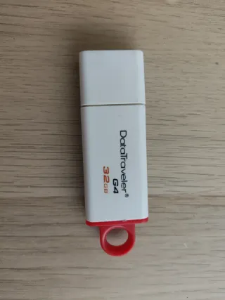 Lote 7 Pendrives Kingston y SanDisk