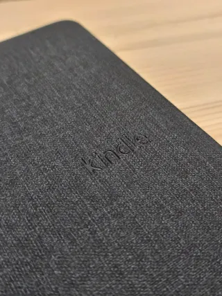 Capa Kindle 2024 Cinza