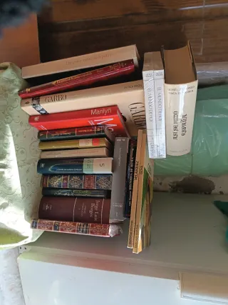 Lote de libros variados