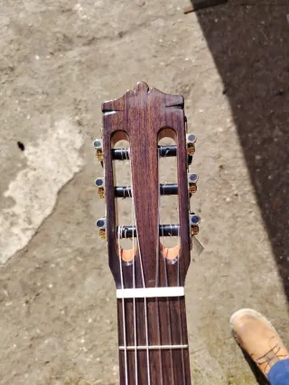 Guitarra Martínez Palosanto Amplificada