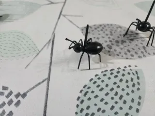 Hormigas decorativas para aperitivo