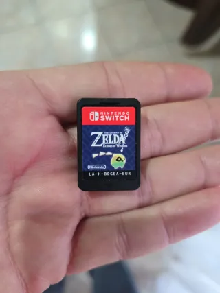 The Legend of Zelda: Echoes of Wisdom Switch