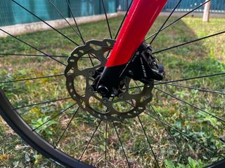 Berria Belador Hybrid HP 7 S Eléctrica Negra/Roja