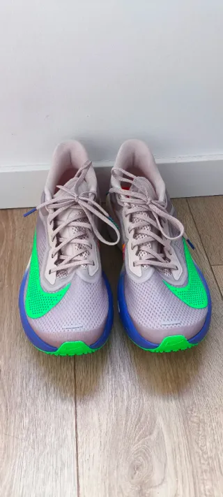 Nike Zoom Fly 6 EK Gris/Verde