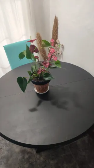 Mesa de comedor redonda120.negra extensible