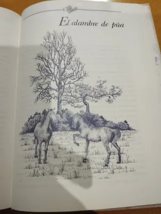 Libro Cuentos de la Selva Horacio Quiroga