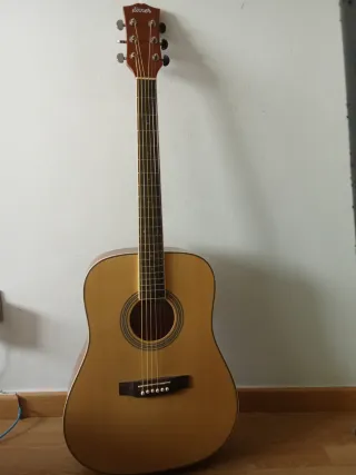 Guitarra Acústica Sinner