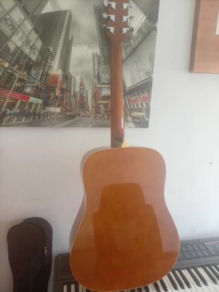 Guitarra Acústica Sinner