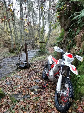 Beta 300rr Enduro 2019