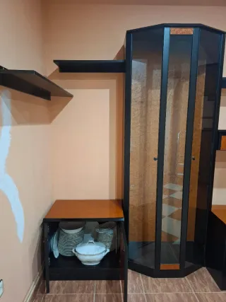 Mueble de salón y vitrina