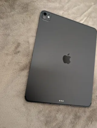 iPad Pro 13 256GB LTE WiFi Gris Espacial