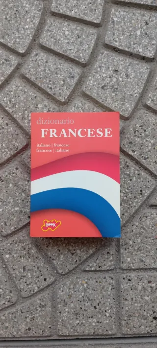 Dizionario francese italiano-francese francese-...