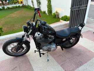 Harley Davidson Sportsters 883