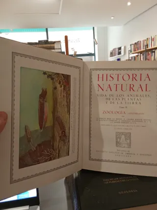 Historia Natural - Instituto Gallach 4 tomos