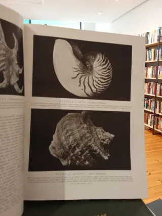 Historia Natural - Instituto Gallach 4 tomos