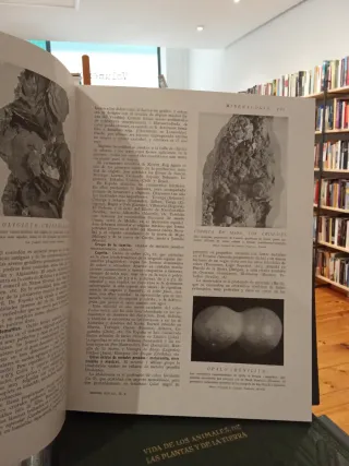 Historia Natural - Instituto Gallach 4 tomos