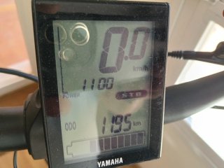 Bicicleta Eléctrica Winora Radius.