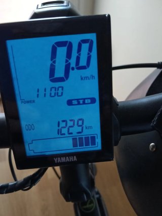 Bicicleta Eléctrica Winora Radius.