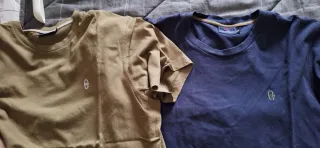 2 T-shirt cotone blu e kaki