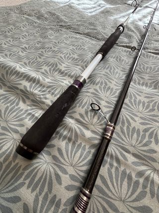 Caña Caperlan Ilicium SW 240 H – Spinning mar