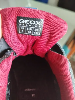 Zapatos Geox Amphibiox Talla 38. Con a penas uso.