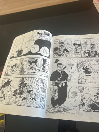 Comic bola de drac n29